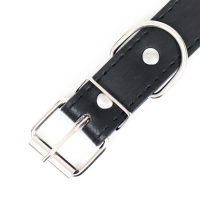 Ошейник из искусственной кожи с шильдом под гравировку, 2,5 х 52 см, ОШ 35-45 см, чёрный Ошейник из искусственной кожи с шильдом под гравировку, 2,5 х 52 см, ОШ 35-45 см, чёрный