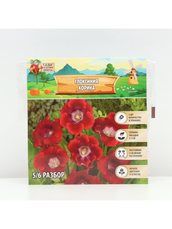 Глоксиния &laquo;Корина&raquo;, многолетник, комнатный, луковица в пакете с перфорацией, р-р 5/6, 2 шт.