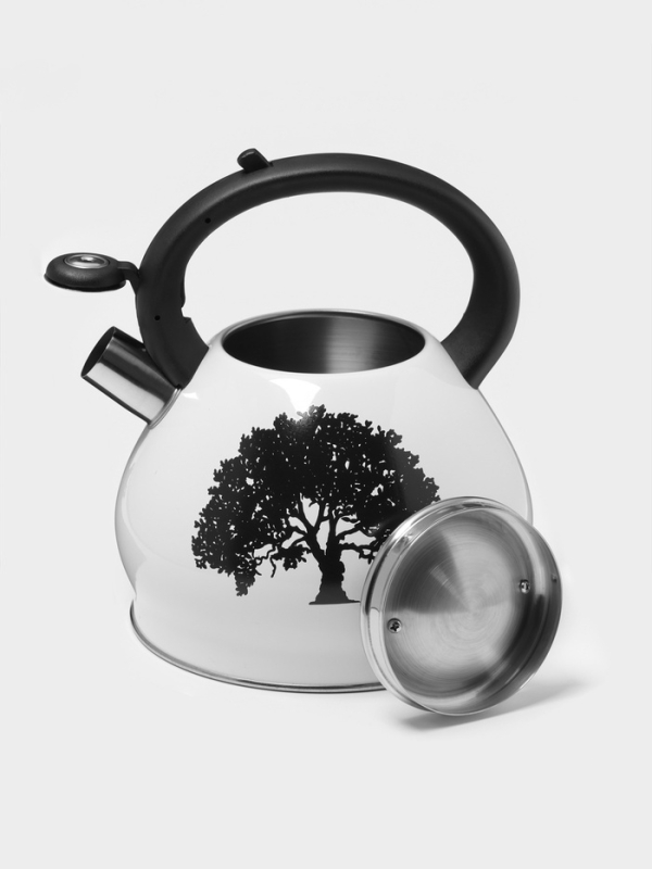 Чайник со свистком из нержавеющей стали Доляна Magic forest, 3 л, с индикатором нагрева, индукция