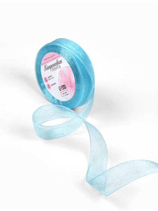 Лента капроновая, 20 мм, 20 &plusmn; 1 м, цвет тёмно-голубой