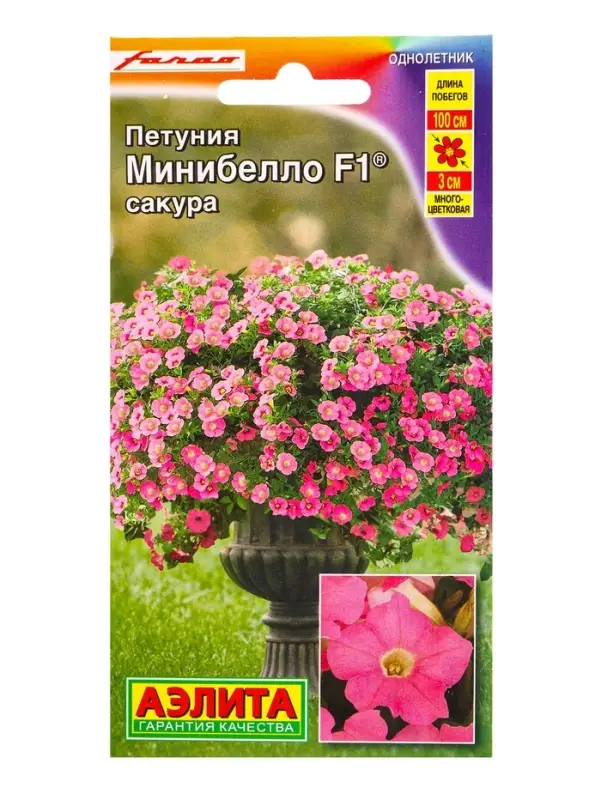 Семена цветов Петуния мини Минибелло F1 сакура многоцветковая  (драже) С. Farao, Ц/П,5 шт.