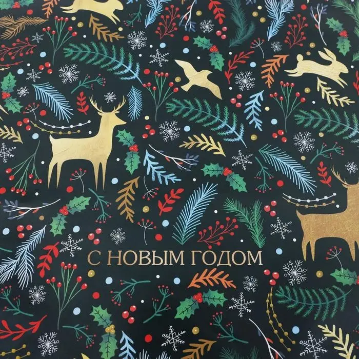 Бумага упаковочная глянцевая &laquo;Европейский стиль&raquo;, 70 х 100 см