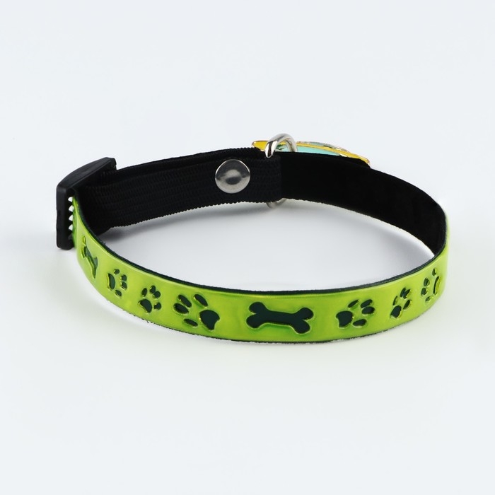 Ошейник светоотражающий &laquo;Лапки&raquo; с подвесом, 30 х 1 см, цвет зелёный