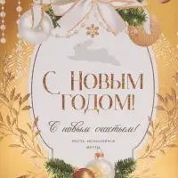 Пакет подарочный новогодний ламинированный &laquo;Золотые краски&raquo;, MS 18 х 23 х 10 см