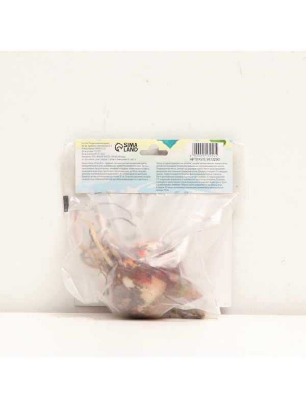 Амариллис Barbados, многолетник, луковица, р-р 24/26, 1 шт.