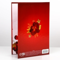 Диплом &laquo;Лучшей маме&raquo;, А5, 21 х 15 см.