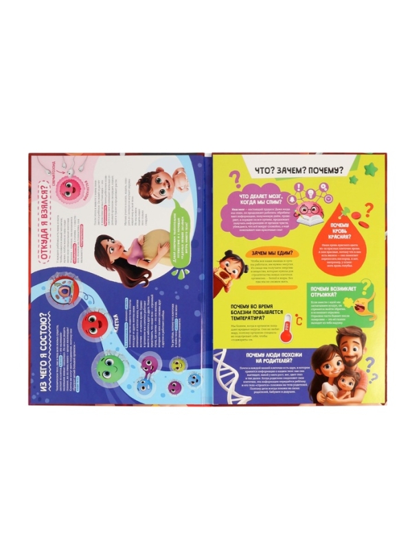 Книга - раскладушка детская &laquo;Как устроено моё тело&raquo;, 40 окошек