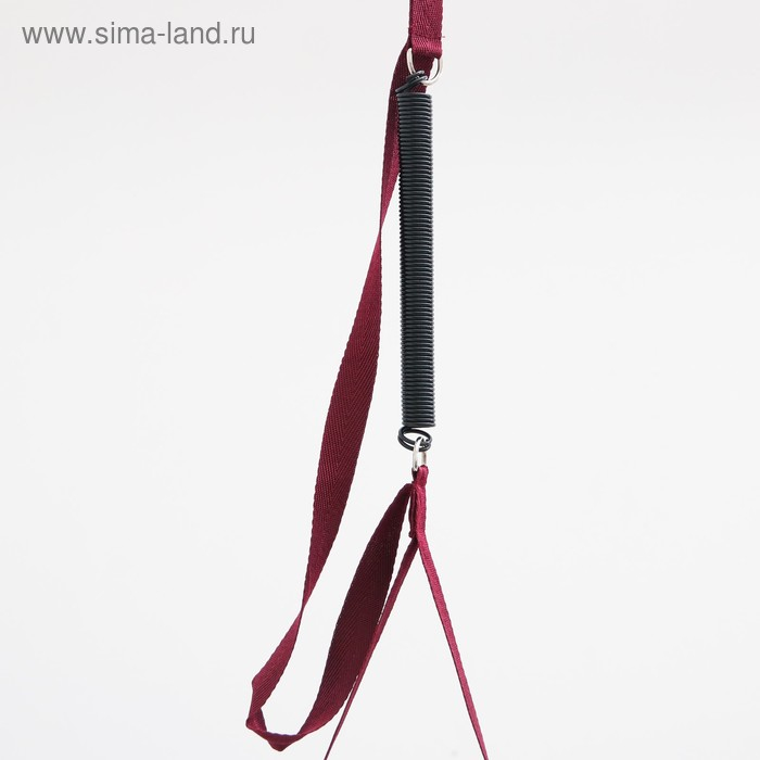 Прыгунки №1 «Звезды, Леденец, Мороженое» (прыгунки, качели, тарзанка), цвет МИКС Прыгунки №1 «Звезды, Леденец, Мороженое» (прыгунки, качели, тарзанка), цвет МИКС