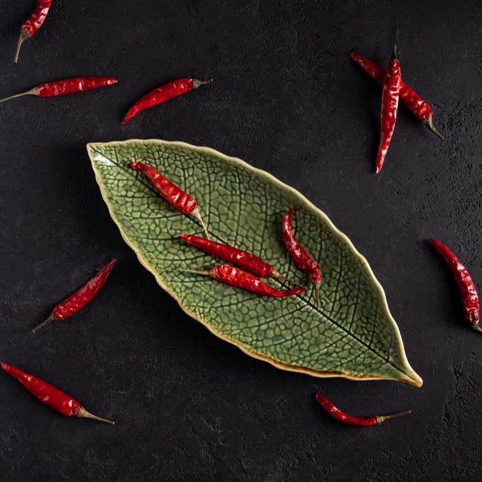 Блюдо керамическое сервировочное &laquo;Дендрарий&raquo;, 26&times;10,5&times;1,5 см, цвет зелёный