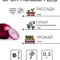 Семена Лук репчатый &laquo;Красный&raquo;, 0.3 г