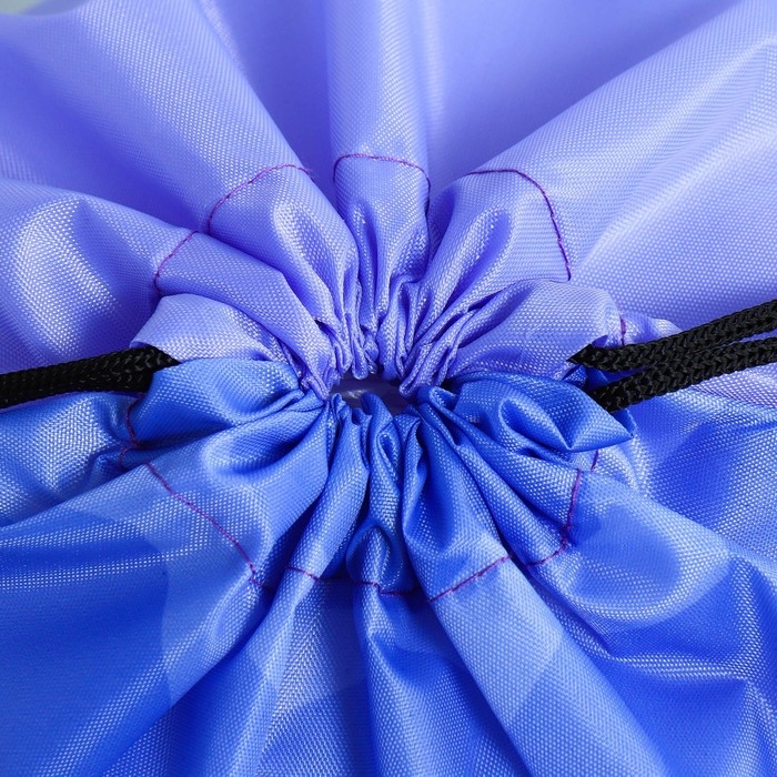 Мешок для обуви &laquo;Очаровательный щенок&raquo; болоньевый материал, 30 х 40 см