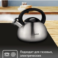 Чайник для плиты C7921024 из нержавеющей стали, со свистком