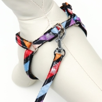 Комплект амуниции двухслойный, S, поводок 120х1 см,ОШ 24-38 ОГ 29-41 см, разноцветные полосы   96837