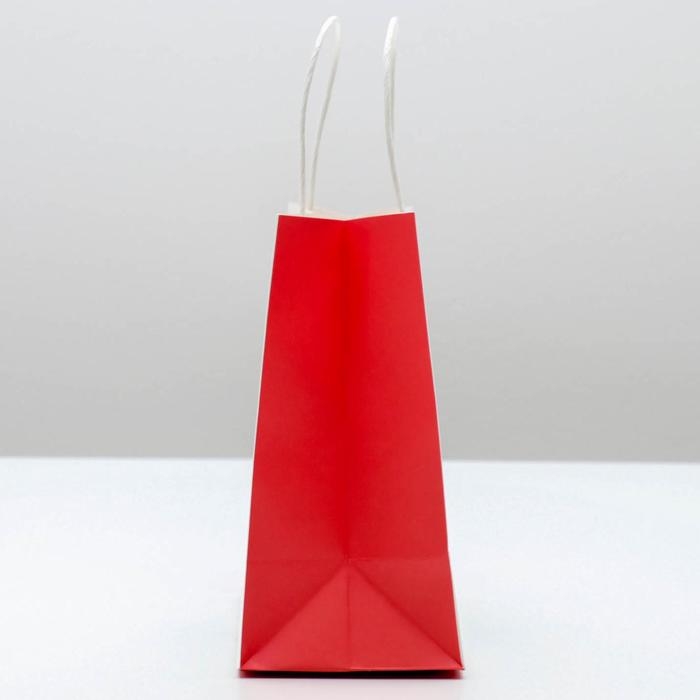 Пакет подарочный новогодний «Потом передаришь», 22 х 22 х 11 см, Новый год Пакет подарочный новогодний «Потом передаришь», 22 х 22 х 11 см, Новый год