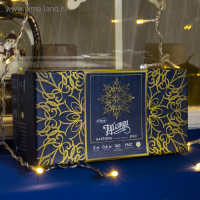 Гирлянда &laquo;Бахрома&raquo; 3 &times; 0.6 м, IP44, УМС, прозрачная нить, 160 LED, свечение тёплое белое, мерцание белым, 220 В