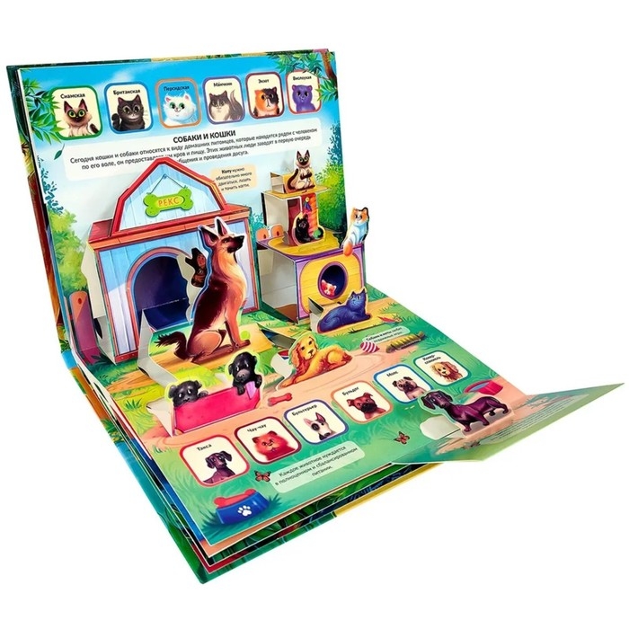 Энциклопедия &laquo;Ферма&raquo; книжка-панорамка, POP UP