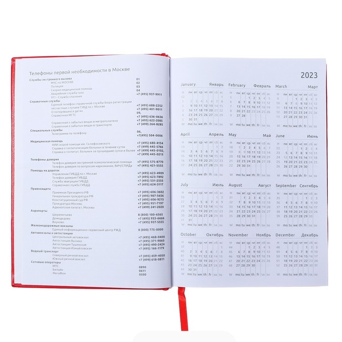 Ежедневник датированный 2024 года, А5, 176 листов, Attomex.Orion, обложка бумвинил, ляссе, блок 70 г/м2, красный