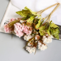 Букет "Пушица гомфрен" 30 см, микс Букет "Пушица гомфрен" 30 см, микс