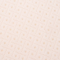 Подушка ортопедическая НТ-ПС-05 "Антихрап", для взрослых, с эффектом памяти и выемкой под плечо, 54x32 см, валики 11/6 см