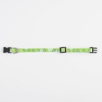 Ошейник для собак и кошек с фастексом &laquo;Авокадо&raquo;, 30х1 см