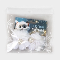 Резинки для волос 2 шт новогодние «Для самой чудесной» на Новый год, 10 х 9 см Резинки для волос 2 шт новогодние «Для самой чудесной» на Новый год, 10 х 9 см