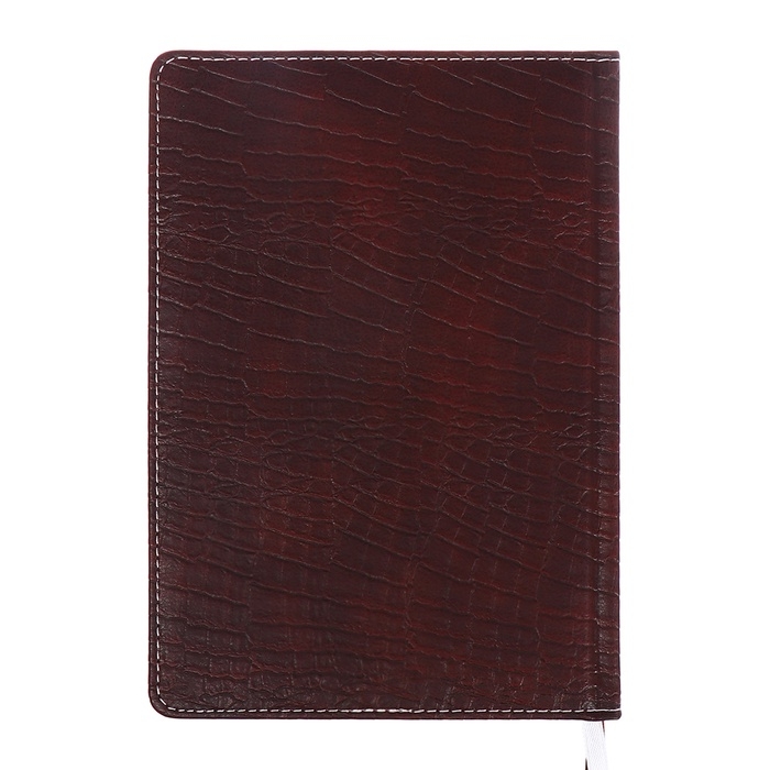Ежедневник датированный 2024 года, А5, 176 листов, Attomex.Croco, обложка искусственная кожа, ляссе, блок 70 г/м2, коричневый