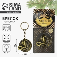 Брелок новогодний, для ключей «Приношу достаток», диам. 4 см Брелок новогодний, для ключей «Приношу достаток», диам. 4 см