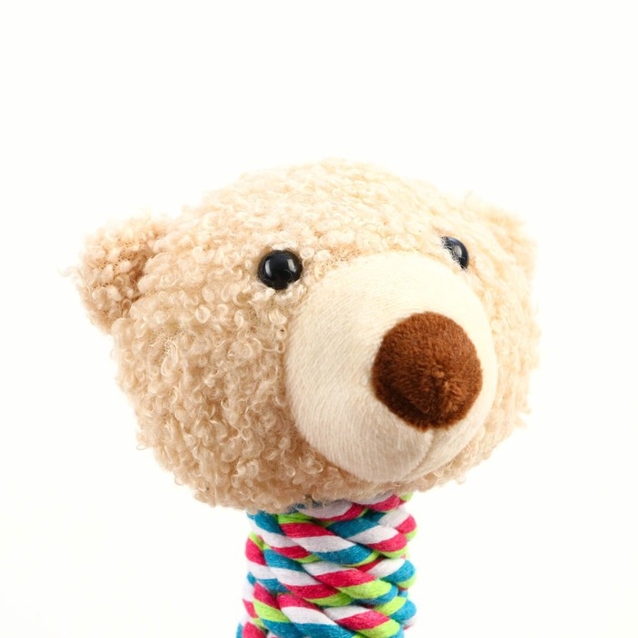 Игрушка мягкая для собак Игрушка мягкая для собак "Медведь" белый, 24 см