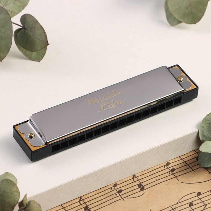 Губная гармошка, хроматическая, 16 отверстий, цвет микс Губная гармошка, хроматическая, 16 отверстий, цвет микс