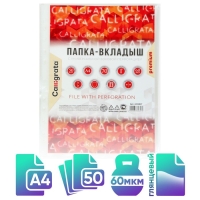 Файл-вкладыш А4, 60 мкм, Calligrata, плотные, глянцевый, вертикальный, 50 штук Файл-вкладыш А4, 60 мкм, Calligrata, плотные, глянцевый, вертикальный, 50 штук