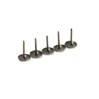 Гвозди ТУНДРА, декоративные, обивочные, фактурные, 11&times;16 мм, бронза, фасовка 50 шт.