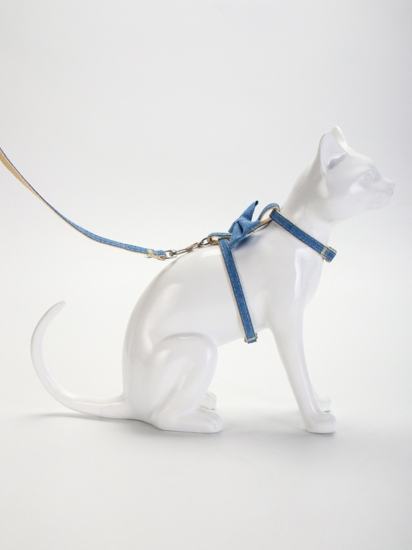 Комплект амуниции "Леди и Джентельмен", поводок 120 х 1 см, синий