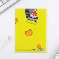 Блокнот раскраска 12 л., 130&times;180 &laquo;Енотоблокнот&raquo;