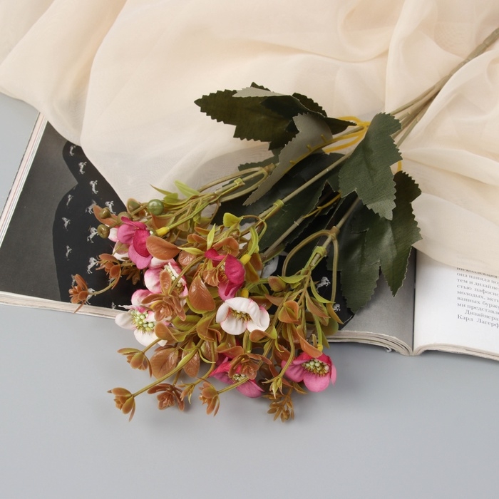 Букет Букет "Морозник галант" 27 см, микс