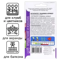 Семена цветов Катарантус "Пацифика Априкот", 7 шт