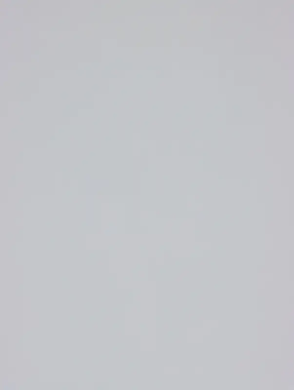 Пленка матовая для цветов и декора, PASTEL, Белая 0.59&times;7 м 180 г