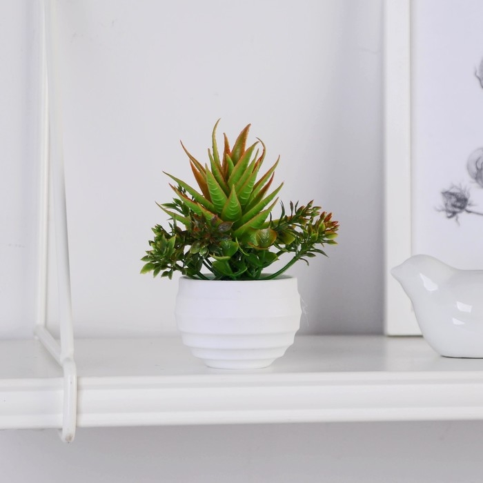 Бонсай в горшке Бонсай в горшке "Цветок рео" 5,5х11 см, микс