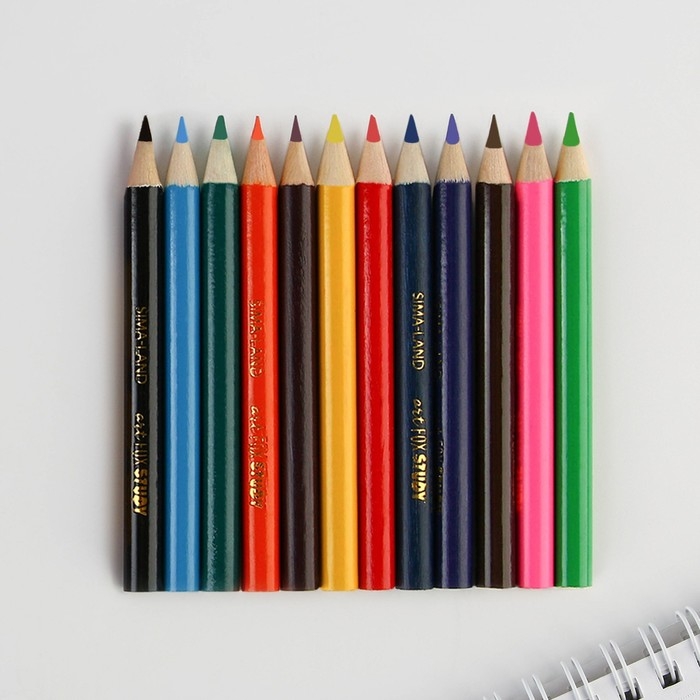 Цветные карандаши 12 цветов мини заточенные круглые деревянный корпус &laquo;1 сентября&raquo;