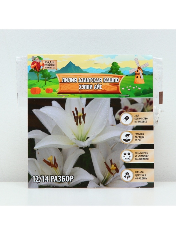 Лилия Азиатская Кашпо Happy Ice, рлуковица в пакете с перфорацией, -р 12/14, 2 шт.