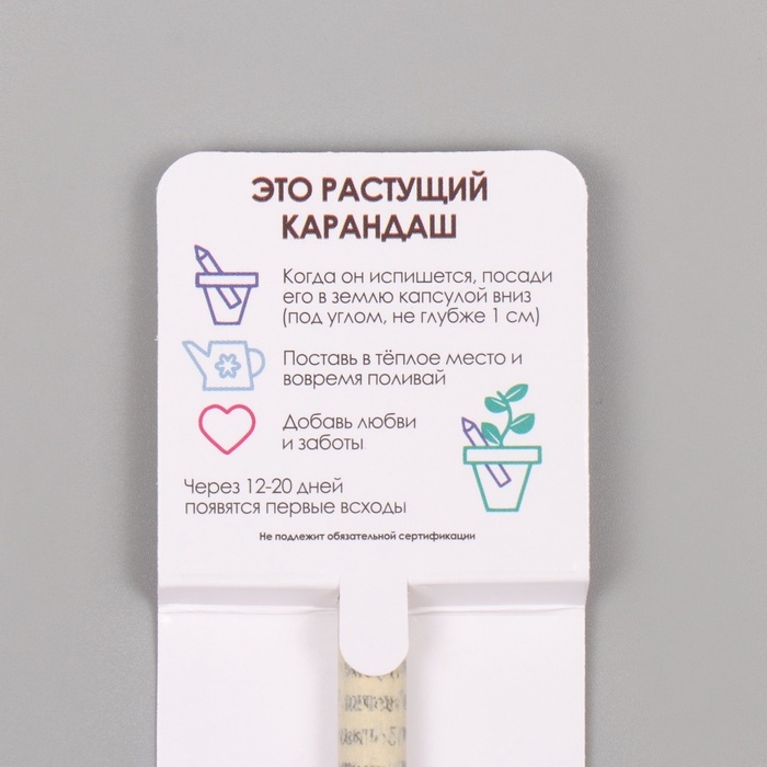 Растущие подарочные карандаши mini "Маргаритка"