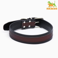 Ошейник двухслойный 66 х 3,5 см,ОШ 50-60, коричнево-чёрный Ошейник двухслойный 66 х 3,5 см,ОШ 50-60, коричнево-чёрный