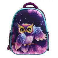 Рюкзак каркасный школьный, 39 х 30 х 14 см, Calligrata "Сова"