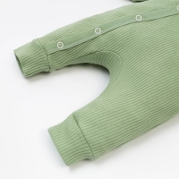 Комбинезон Крошка Я, BASIC LINE, рост 74-80 см, цвет зелёный Комбинезон Крошка Я, BASIC LINE, рост 74-80 см, цвет зелёный