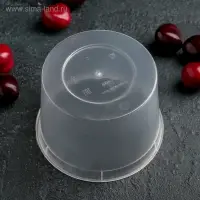 Контейнер пластиковый одноразовый &laquo;Супница&raquo;, 500 мл, прозрачный