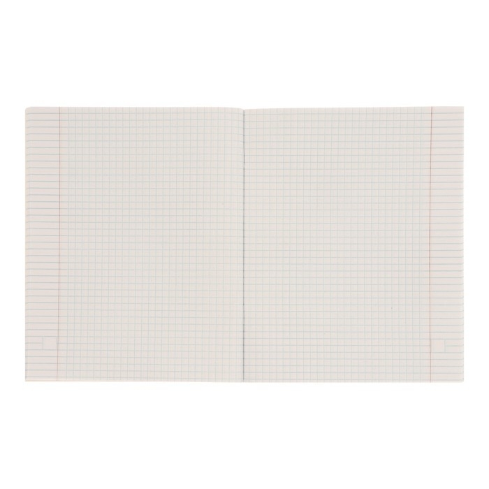 Тетрадь 48 листов в клетку Calligrata "Маска", обложка мелованный картон, выборочный УФ-лак, блок офсет, МИКС