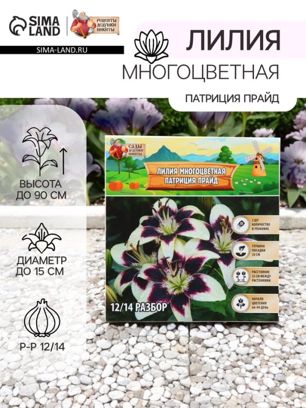 Лилия Многоцветная «Патриция Прайд», луковица в пакете с перфорацией, р-р 12/14, 3 шт. Лилия Многоцветная «Патриция Прайд», луковица в пакете с перфорацией, р-р 12/14, 3 шт.