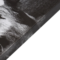 Картина-холст на подрамнике "Львиная семья" 50х70 см Картина-холст на подрамнике "Львиная семья" 50х70 см