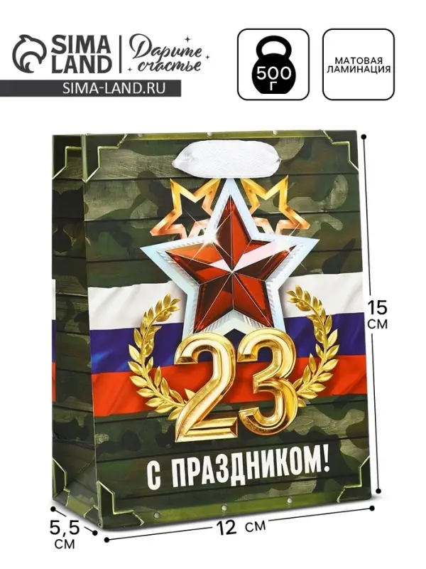Пакет подарочный ламинированный &laquo;23 февраля&raquo;, S 12 х 15 х 5.5 см