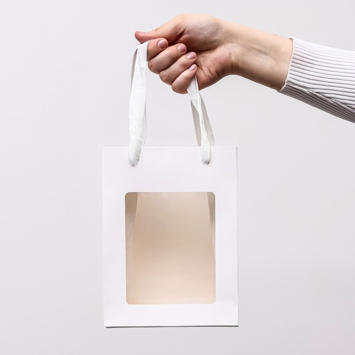 Пакет подарочный, с окном, 20 х 15 х 10 см, белый, 1шт. Пакет подарочный, с окном, 20 х 15 х 10 см, белый, 1шт.