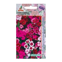 Семена Гвоздика Диамант F1 Смесь 10шт* Семена Гвоздика Диамант F1 Смесь 10шт*